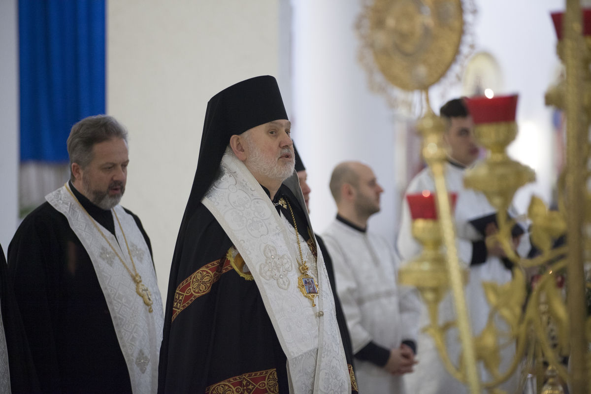 «Різдво нас виховувало, тримало і вело до Бога, як царів та пастухів до вифлеємської стайні», — владика Йосиф Мілян про святкування Різдва в підпільній Церкві