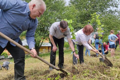 «Сад перемоги» з’явився на території Бучацького реколекційного будинку Святого Миколая